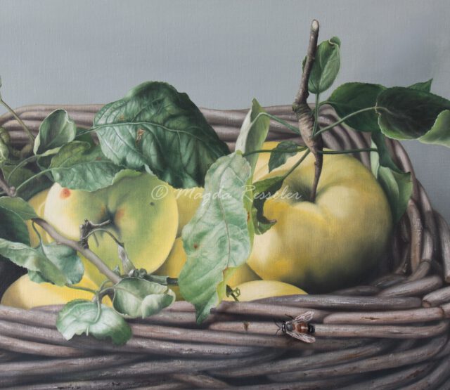 Halfoogstappelen in tenen mand - olieverf op canvas - 45 x 60 cm