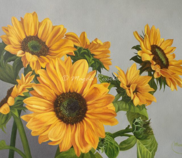 Zonnebloemen - olieverf op canvas - 40 x 50 cm